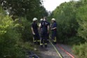 Waldbrand Koeln Hoehenhaus Hoehenfelder Mauspfad P060